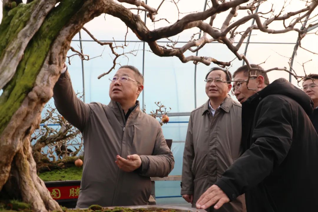 ���f��ί����ӛ������ί��ӛ�����ށ�F�ǅ^(q��)�{(di��o)��ʯ��a(ch��n)�I(y��)�l(f��)չ����